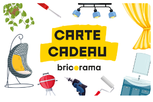 carte cadeau Bricorama
