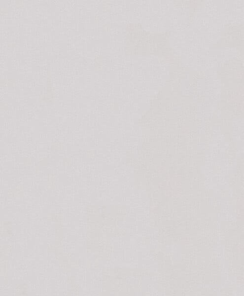 AS CREATION - Papier peint expansé intissé - Gris - L.10,05 x l.0,53m - large