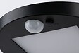 PAULMANN - Borne lumineuse solaire Ryse IP44 avec détecteur mouvement Anthracite - vignette