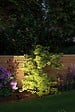PAULMANN - Spot Plug & Shine Sting IP67 Anthracite - vignette