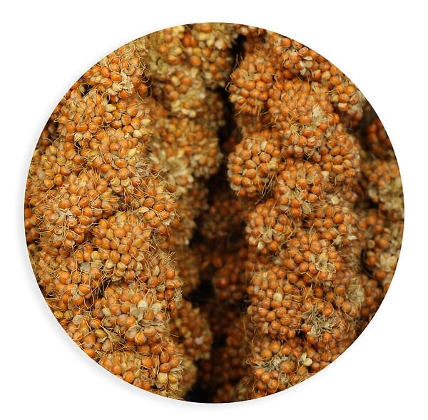TYROL - Millet roux grappes 200g - large