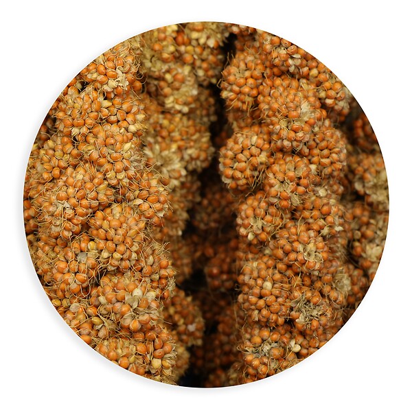 TYROL - Millet grappes 1kg tyrol - large