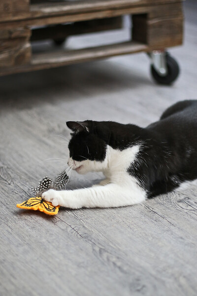 AGROBIOTHERS - Tyrol crinkle papillon jouet chat - large
