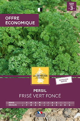 LA SEMEUSE - Persil frisé vert foncé - large