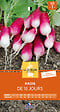 LA SEMEUSE - Semences radis 18 jours - Rose à bout blanc - Précoce - vignette