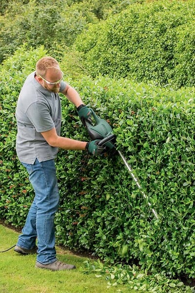BOSCH - Taille-haies filaire UniversalHedgeCut 60 - large