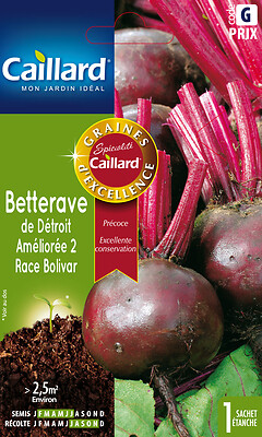 CAILLARD - Graines de betterave - Détroit race Bolivar - Précoce - large