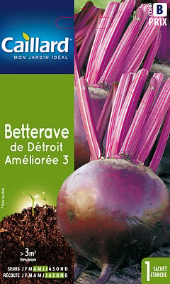 CAILLARD - Graines betterave - Détroit améliorée 3 - Croissance rapide - large