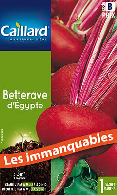 CAILLARD - Betterave d'Égypte - Semence potagère - Variété hâtive - large