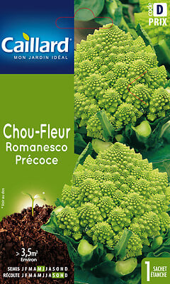 CAILLARD - Graines de Chou-fleur Romanesco précoce - Vert doré - large