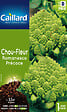 CAILLARD - Graines de Chou-fleur Romanesco précoce - Vert doré - vignette