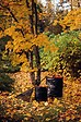 FISKARS - Sac a vegetaux solid 172l - vignette