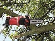 EINHELL - Kit ébrancheur Multifonctions Sans Fil Ge-hc 18 Li T - vignette