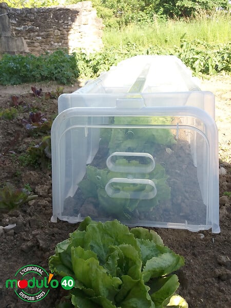 MODULO - Paire d'embouts pour tunnel Modul'o 40 - Transparent - large