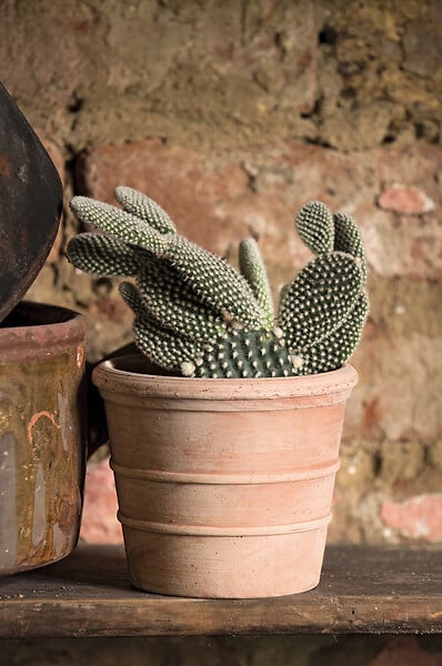 DEROMA - Pot en terre cuite Siena Toscana - Terre rosée - 11cm - large