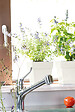 DEROMA - Pot carré avec réserve d'eau Quadro Save R - Blanc - 17x17cm - vignette