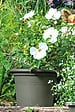 DEROMA - Pot rond recyclé Day R - Vert - 4,8 L - Diam.25xH.17,7cm - vignette