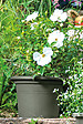 DEROMA - Pot Cilindro Day R - Vert - Diam.35cm - vignette
