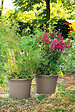 DEROMA - Pot cylindrique Cilindro Day R - Taupe - 41L - Diam.50cm - vignette