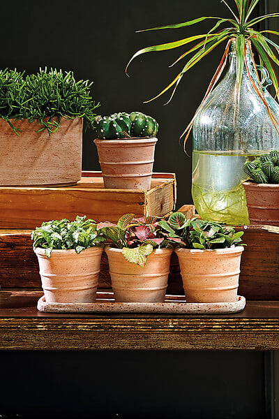 DEROMA - Mini pots Siena Toscana - Terre rosée - 35x11,5x10,5cm - large