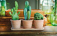 DEROMA - Mini pots Siena Toscana - Terre rosée - 35x11,5x10,5cm - vignette