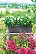 DEROMA - Jardinière Day R Anthracite 60cm - vignette