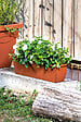 DEROMA - Jardinière Day R Cotto - Terre rouge - L.60xl.17xH.14.5cm - vignette