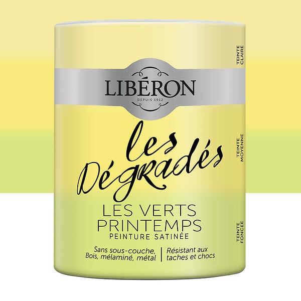LIBERON - Peinture Les Dégradés Satin Les verts printemps 600ml - large