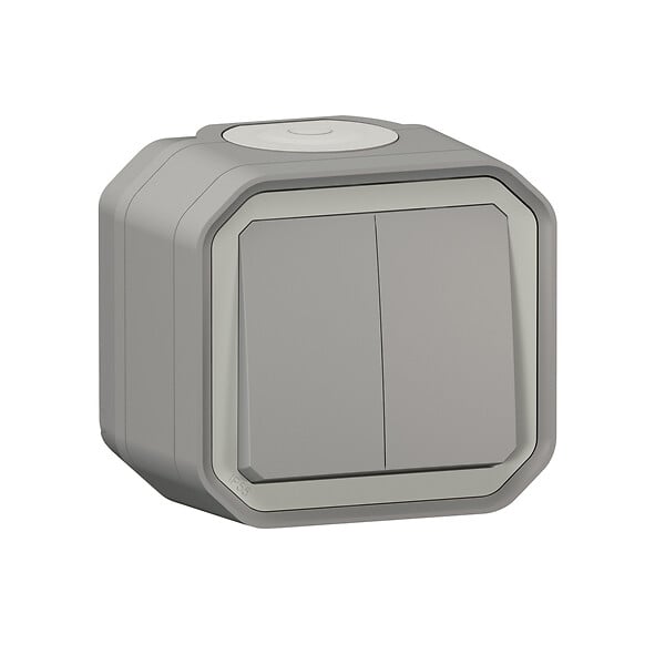 LEGRAND - Plexo double interrupteur étanche - Plastique - Gris - IP55 - large