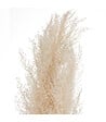 ATMOSPHERA - Set de 3 Branches de Pampa séchée Blanc ivoire H 109 cm - vignette