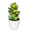 ATMOSPHERA - Plante artificielle Cactus en pot H 18 cm - vignette