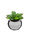 ATMOSPHERA - Plante verte artificielle Pot en céramique H 15 cm - vignette