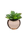 ATMOSPHERA - Plante verte artificielle Pot en céramique H 15 cm - vignette