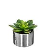 ATMOSPHERA - Plante verte artificielle Pot en céramique H 15 cm - vignette
