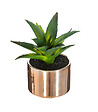 ATMOSPHERA - Plante verte artificielle Pot en céramique H 15 cm - vignette
