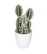 ATMOSPHERA - Plante artificielle Cactus en pot H 18 cm - vignette