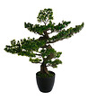 ATMOSPHERA - Plante artificielle Bonsaï en pot H 80 cm - vignette