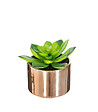 ATMOSPHERA - Plante verte artificielle Pot en céramique H 15 cm - vignette