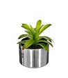 ATMOSPHERA - Plante verte artificielle Pot en céramique H 15 cm - vignette