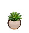 ATMOSPHERA - Plante verte artificielle Pot en céramique H 15 cm - vignette