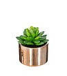 ATMOSPHERA - Plante verte artificielle Pot en céramique H 15 cm - vignette