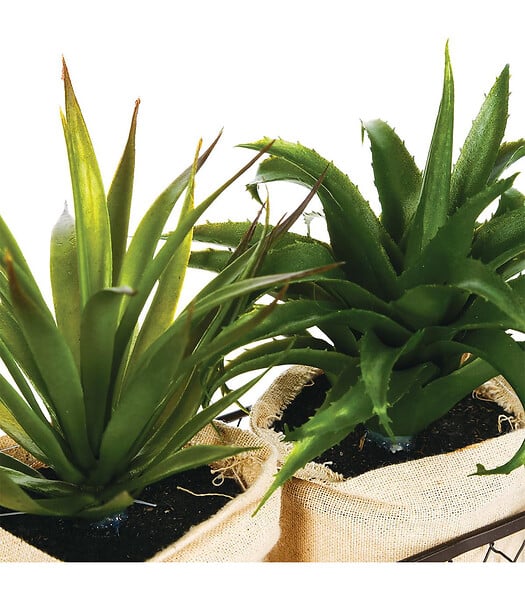 ATMOSPHERA - Set 2 Plantes artificielles Aloe Vera dans un panier en métal H 21 cm - large