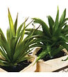 ATMOSPHERA - Set 2 Plantes artificielles Aloe Vera dans un panier en métal H 21 cm - vignette