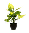 ATMOSPHERA - Plante verte artificielle en pot H 45 cm - vignette