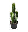 ATMOSPHERA - Plante artificielle Cactus en pot H 38 cm - vignette