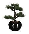 ATMOSPHERA - Bonsaï artificiel en pot en céramique H 34 cm - vignette