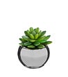 ATMOSPHERA - Plante verte artificielle Pot en céramique H 15 cm - vignette