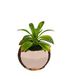 ATMOSPHERA - Plante verte artificielle Pot en céramique H 15 cm - vignette