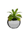 ATMOSPHERA - Plante verte artificielle Pot en céramique H 15 cm - vignette