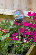 SMARTSOLAR - Balise Firefly Opal - vignette